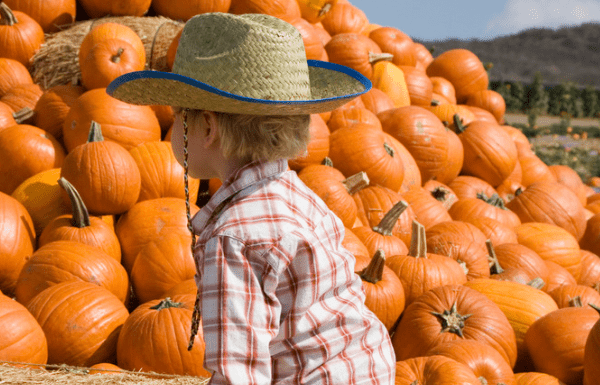 fall activities with kids and pumpkin patches in Louisiana