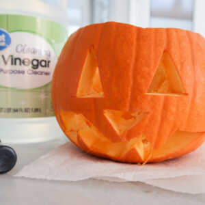 cutting out the jack-o-lantern face