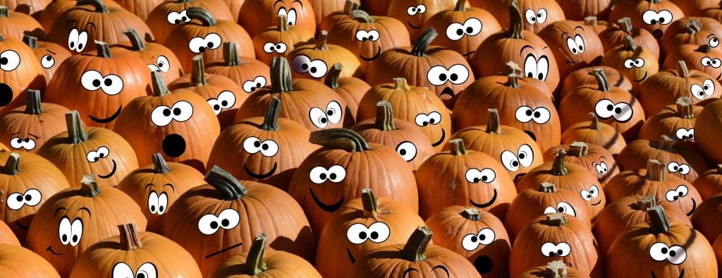 field of pumpkins with eyes