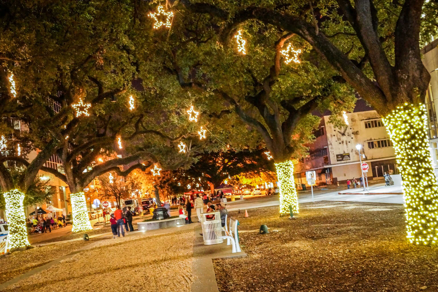 Where To See Christmas Lights In Baton Rouge