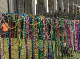 Mardi Gras Parades