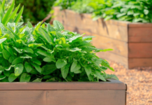How to build a raised garden bed in Louisiana