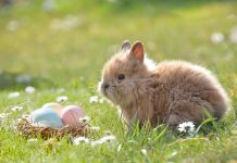 easter activities for toddlers