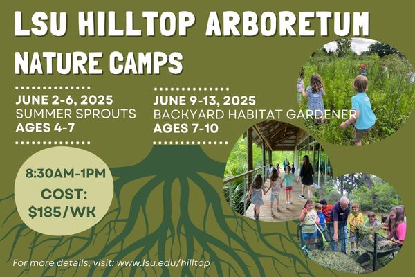 LSU’s Hilltop Arboretum Summer Camp