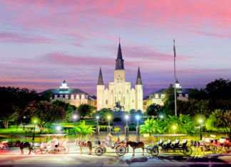 a love letter to New Orleans