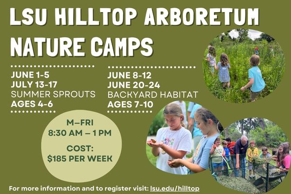 Summer Nature Camps at LSU Hilltop Arboretum Summer Nature Camps at LSU Hilltop Arboretum