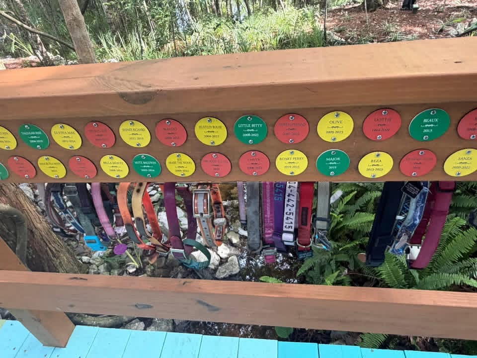 The Paw Prints They Leave Behind :: A Community Effort to Bring a Rainbow Bridge Memorial to Baton Rouge